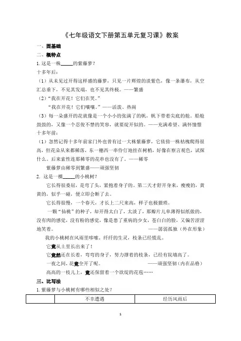《七年级语文下册第五单元复习课》教案