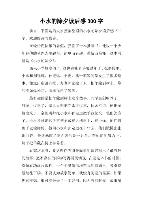 小水的除夕读后感300字