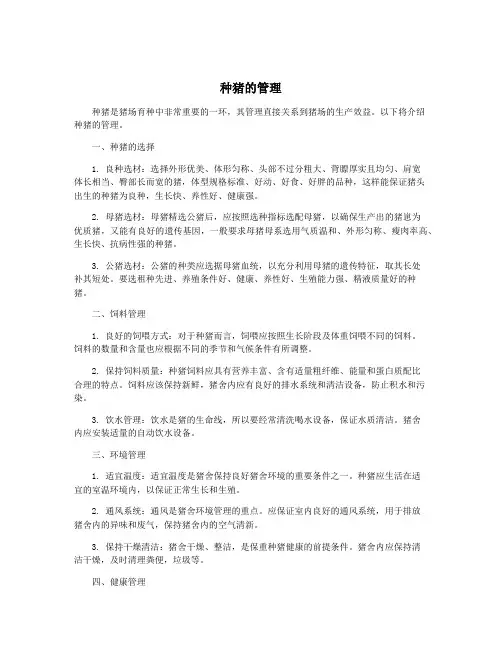 种猪的管理