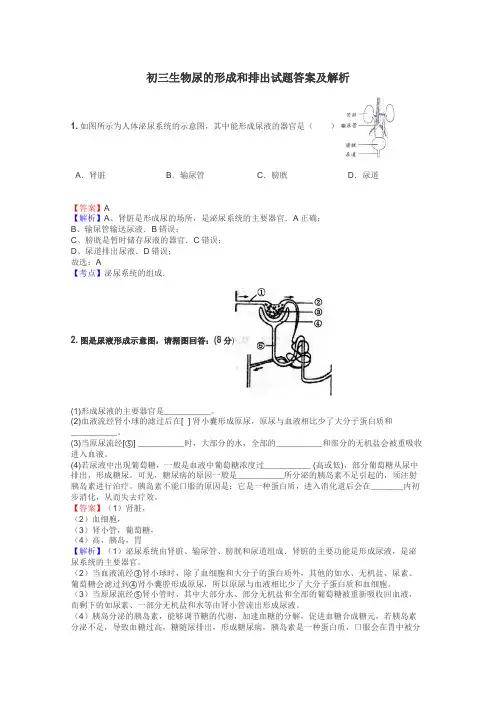 初三生物尿的形成和排出试题答案及解析
