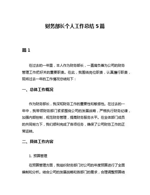 财务部长个人工作总结5篇