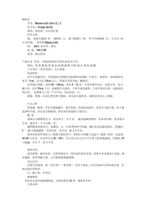 萱草介绍[资料]