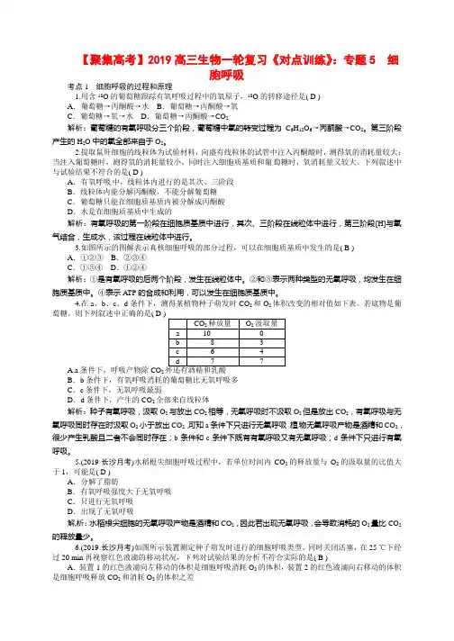 高三生物一轮复习《对点训练》：专题5 细胞呼吸(含模拟题)