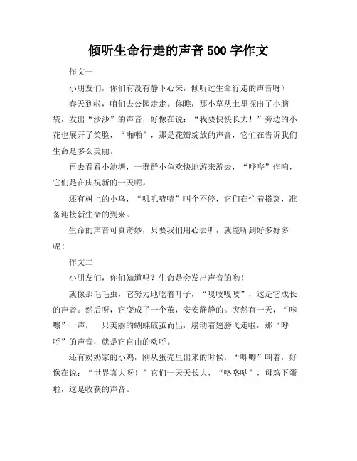 倾听生命行走的声音500字作文