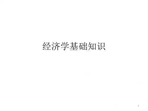 《经济学基础知识》PPT课件