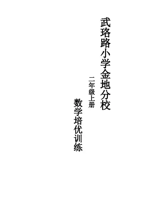 二年级上册数学培优题