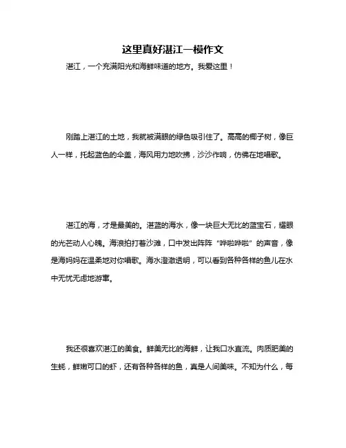 这里真好湛江一模作文