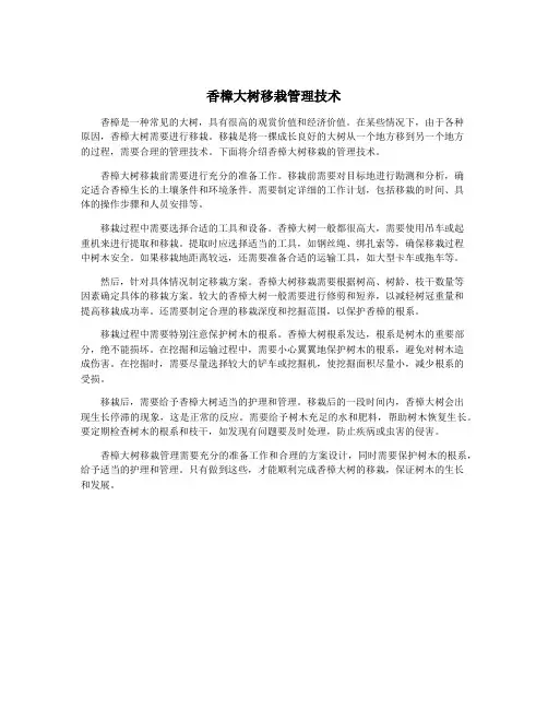 香樟大树移栽管理技术