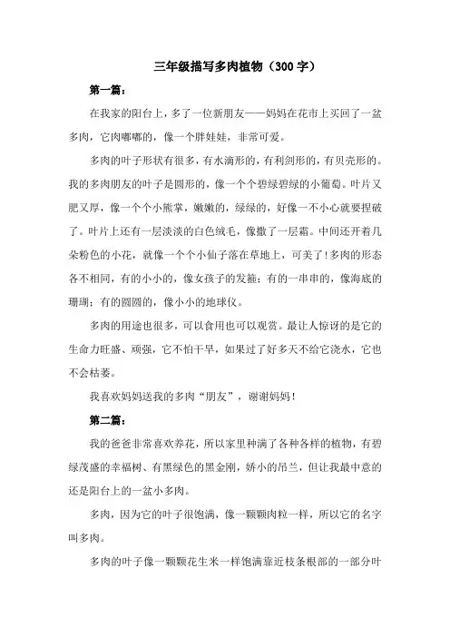 三年级描写多肉植物300字