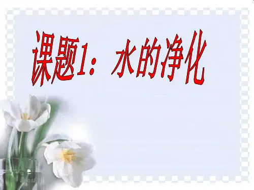 水的净化 ppt课件.ppt