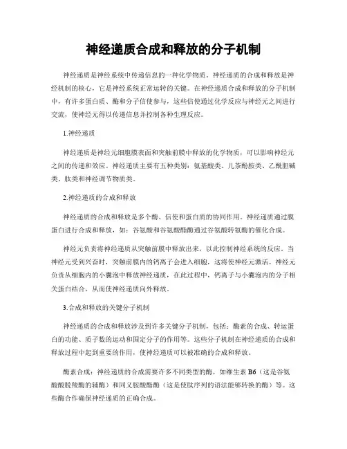 神经递质合成和释放的分子机制