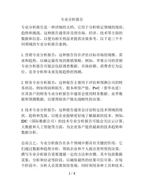 专业分析报告