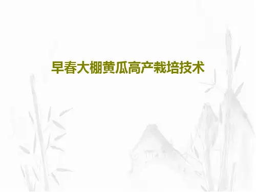 早春大棚黄瓜高产栽培技术27页PPT