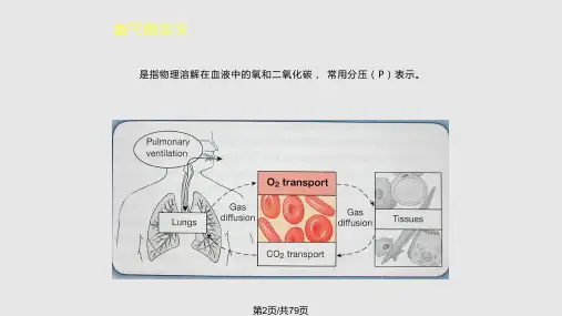 血气分析临床应用改.pptx