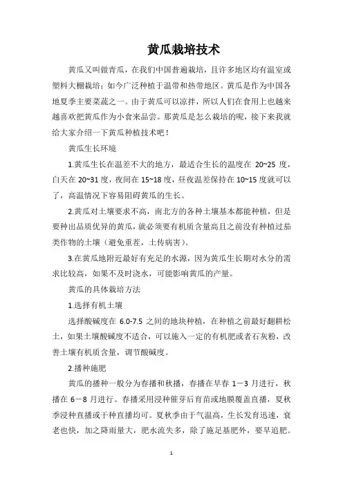黄瓜栽培技术