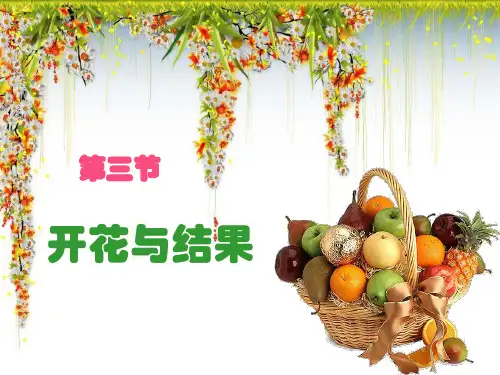 人教版生物七年级上册3.《开花和结果》课件
