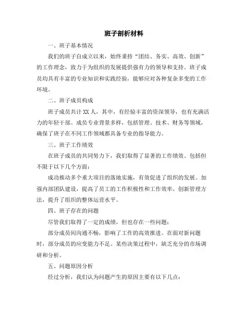 班子剖析材料