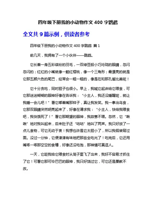 四年级下册我的小动物作文400字鹦鹉