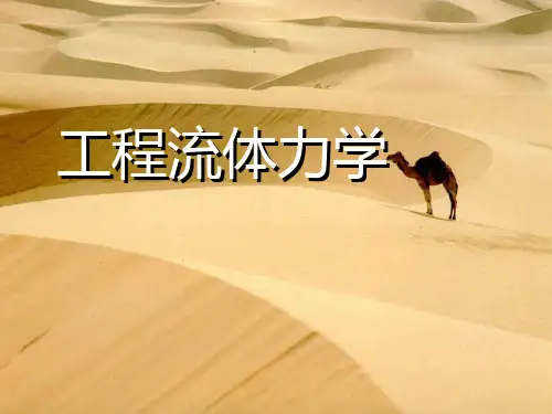 流体力学完整版课件全套ppt教程