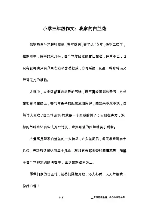 小学三年级作文：我家的白兰花