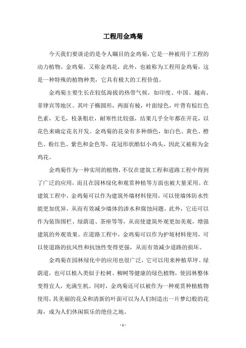 工程用金鸡菊