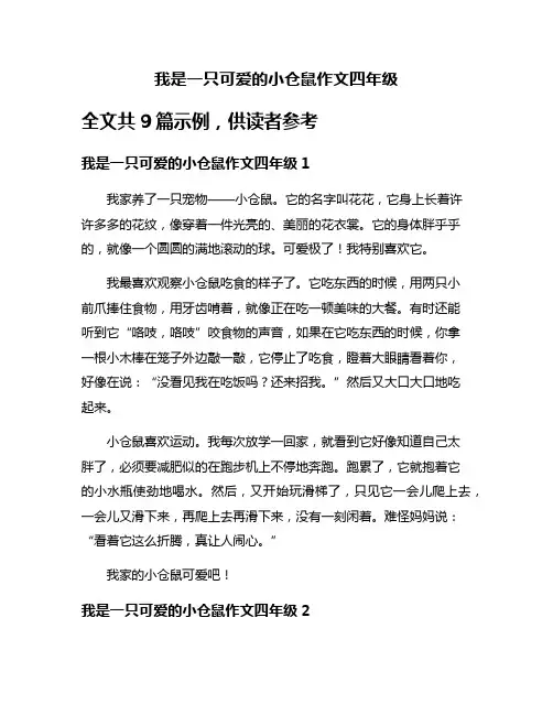 我是一只可爱的小仓鼠作文四年级