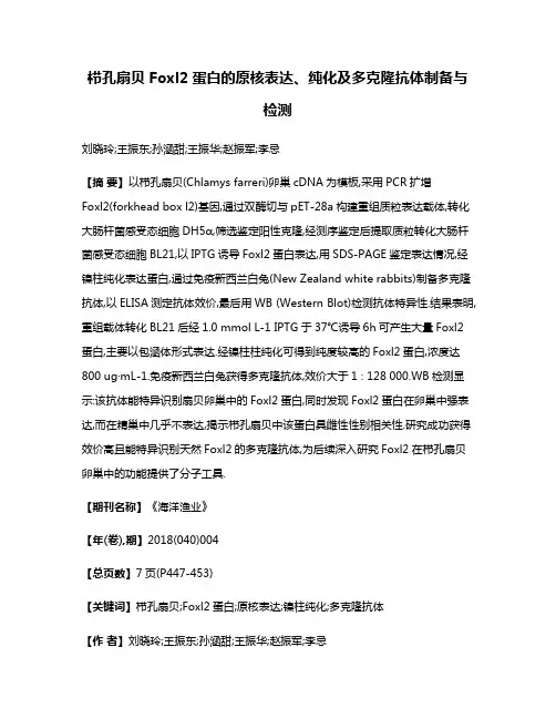 栉孔扇贝Foxl2蛋白的原核表达、纯化及多克隆抗体制备与检测