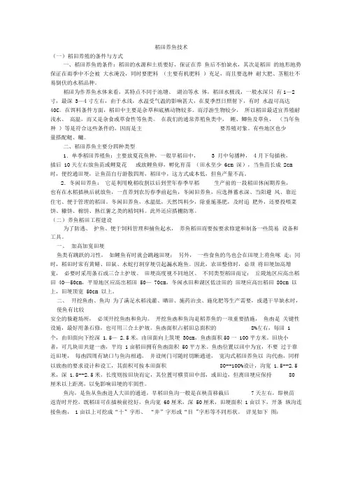 稻田养鱼技术