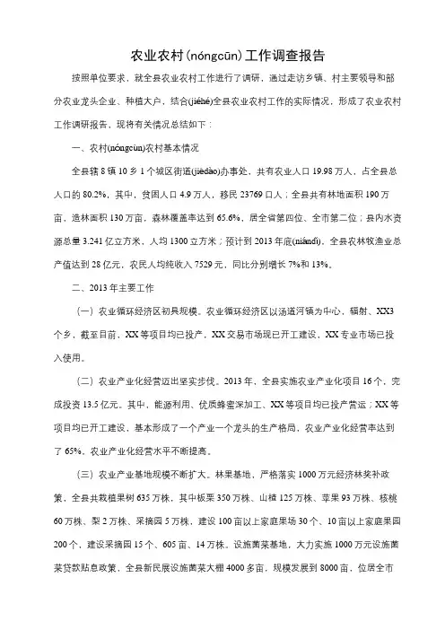 农业农村工作调查报告