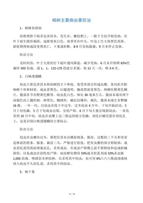 杨树主要病虫害防治