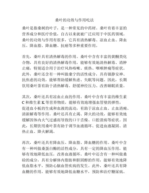 桑叶的功效与作用吃法