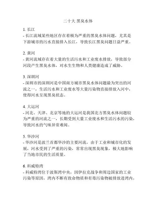 二十大 黑臭水体