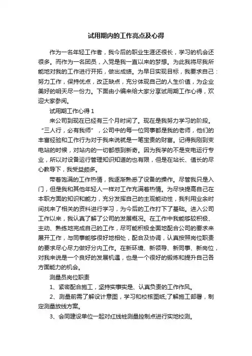 试用期内的工作亮点及心得