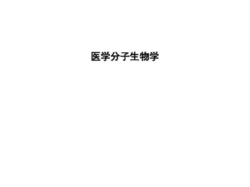 1医学分子生物学
