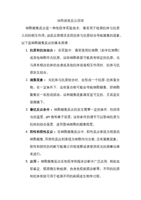 细胞凝集反应原理