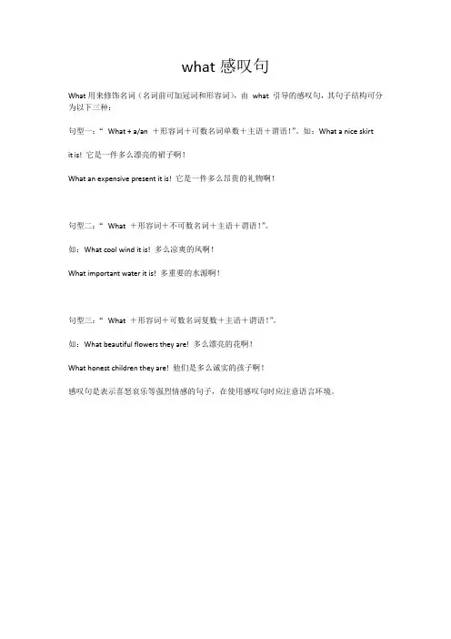 what感叹句