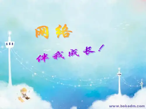 阳光网络伴我成长ppt课件