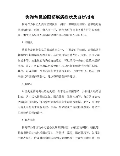 狗狗常见的眼部疾病症状及自疗指南