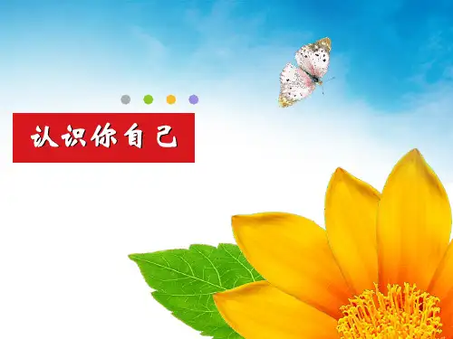 大学生自我意识1