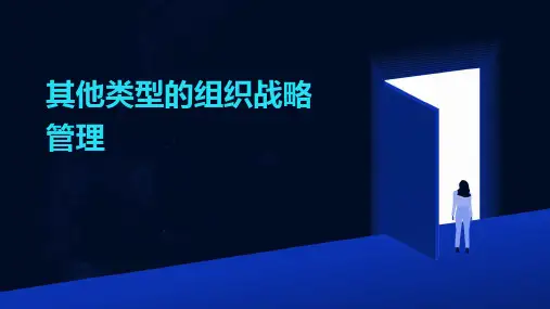 其他类型的组织战略管理