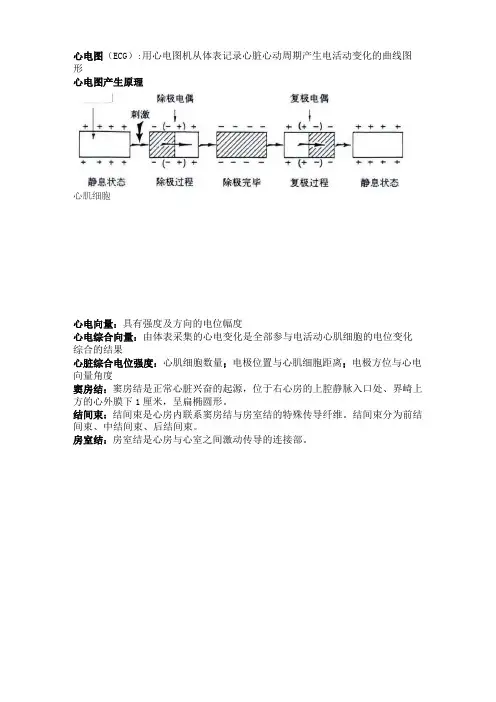 心电图考试重点总结
