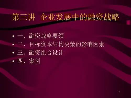 企业发展中的融资战略(ppt 30页)