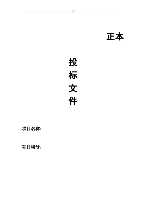 某某项目-投标文件-技术方案——模板1