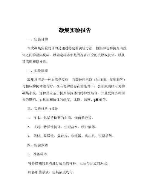 凝集实验报告