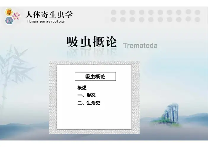 01医学吸虫概论ppt