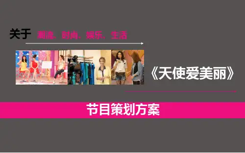 《天使爱美丽》节目策划方案