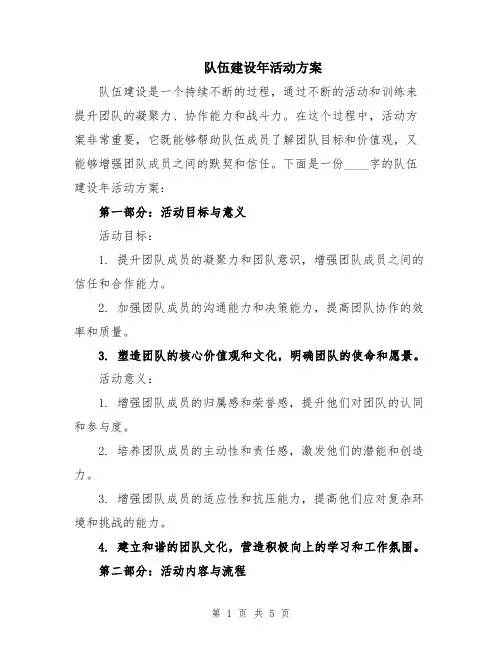 队伍建设年活动方案