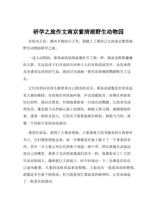 研学之旅作文南京紫清湖野生动物园