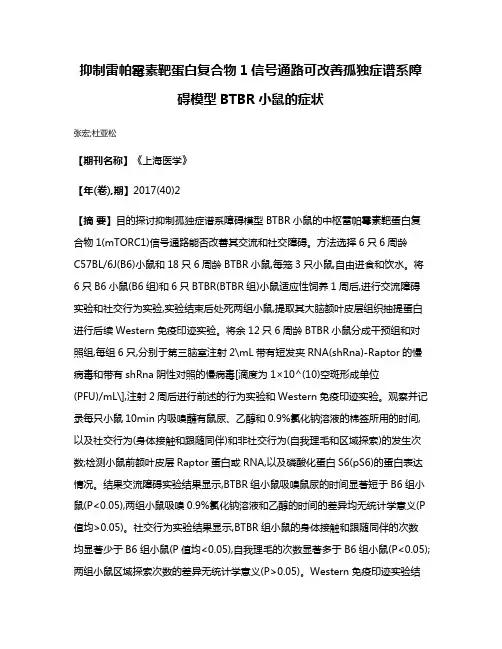 抑制雷帕霉素靶蛋白复合物1信号通路可改善孤独症谱系障碍模型BTBR小鼠的症状