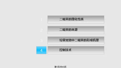 二恶英的产生机理及控制技术